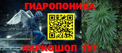 таблы Сланцы
