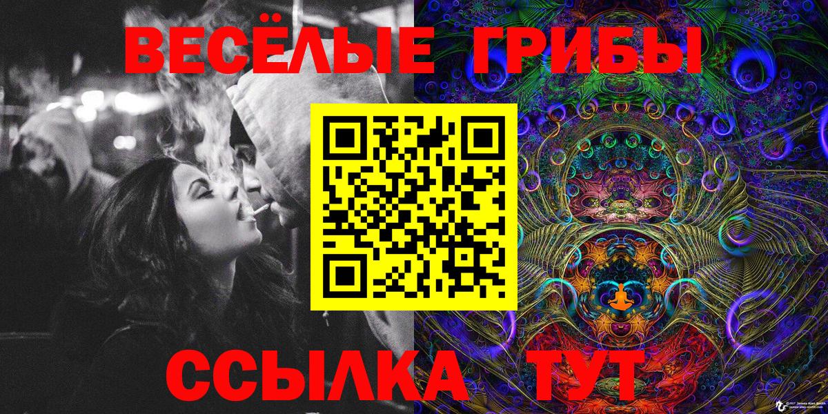 Псилоцибиновые грибы Psilocybe  Псилоцибиновые грибы мицелий  Вход с VPN  купить закладку  Набережные Челны 